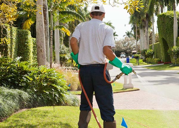About Welcome MN Pest Control